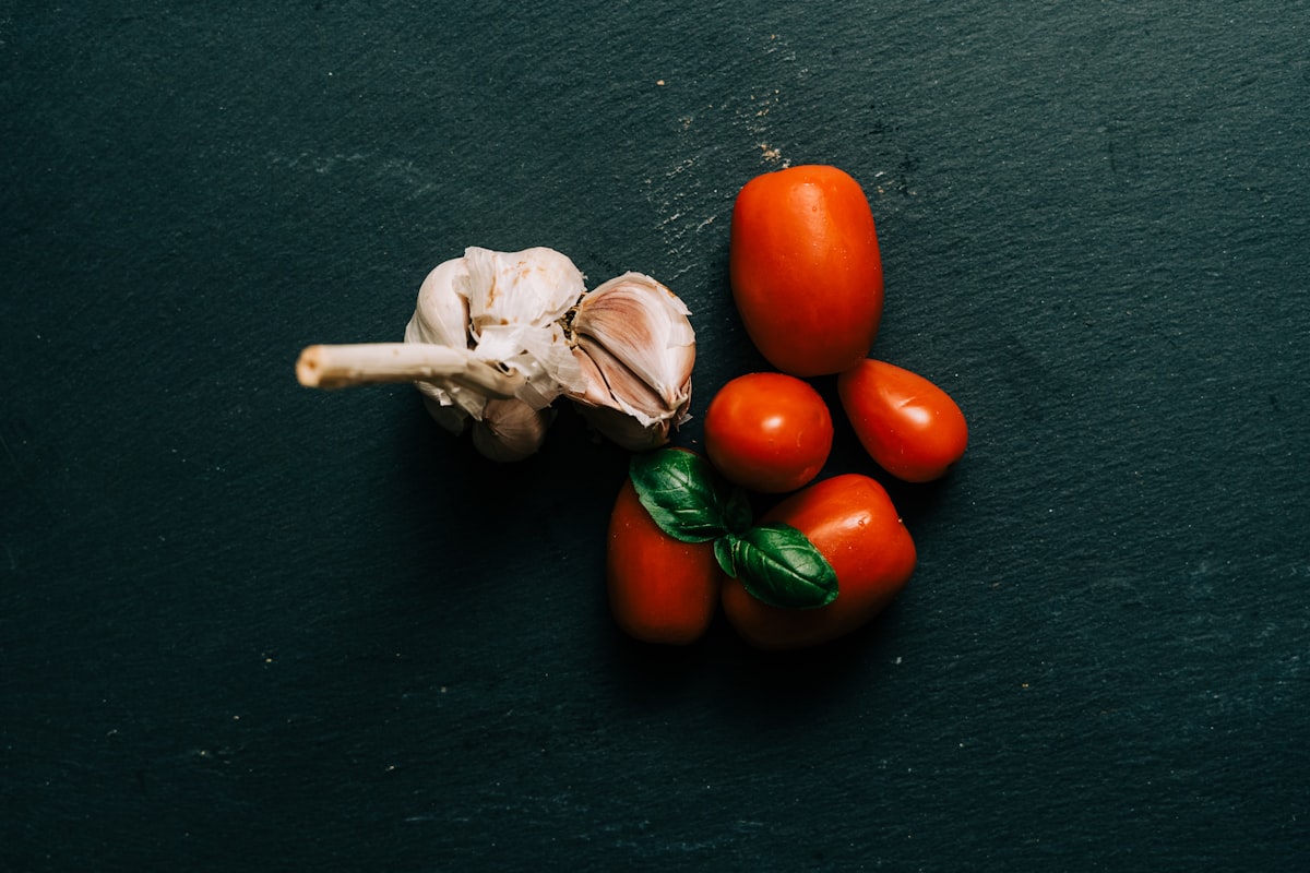 Understanding macronutrient balance in daily eating